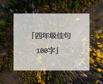 四年级佳句100字