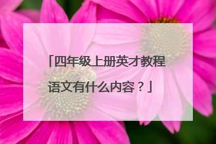 四年级上册英才教程语文有什么内容？