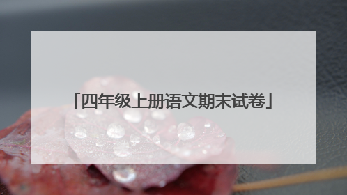 四年级上册语文期末试卷