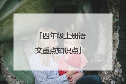 四年级上册语文重点知识点