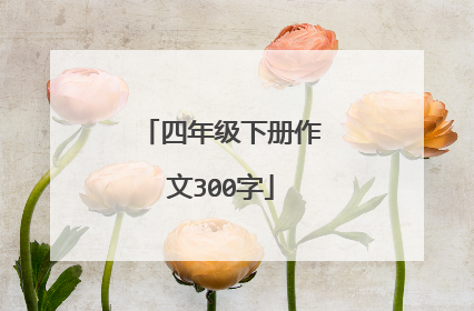 四年级下册作文300字