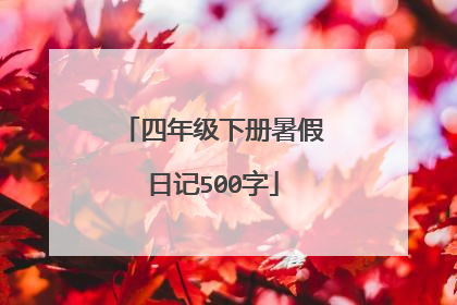 四年级下册暑假日记500字