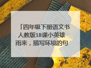四年级下册语文书人教版18课小英雄雨来,描写环境的句孓有哪些?