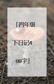 四年级下日记400字