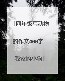 四年级写动物的作文400字 我家的小狗