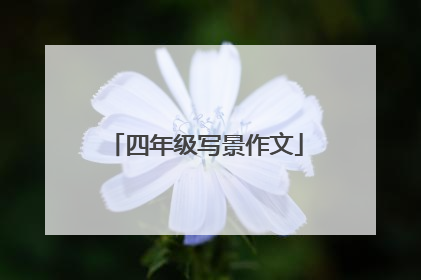 四年级写景作文