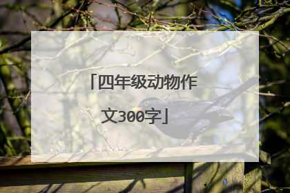 四年级动物作文300字