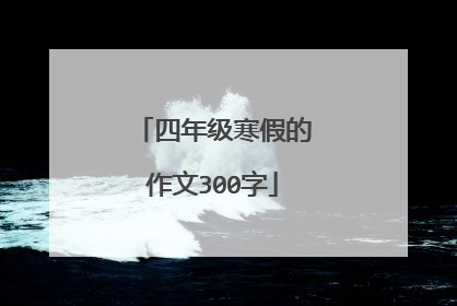 四年级寒假的作文300字