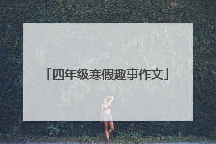 四年级寒假趣事作文