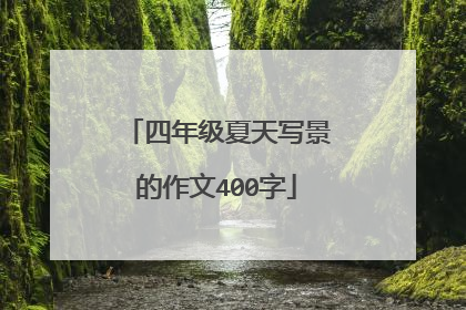 四年级夏天写景的作文400字