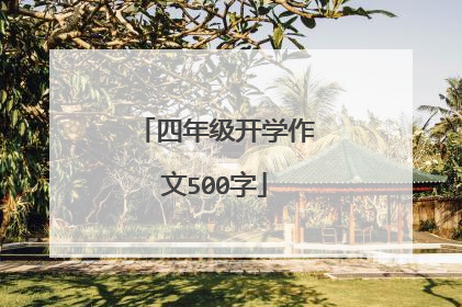 四年级开学作文500字