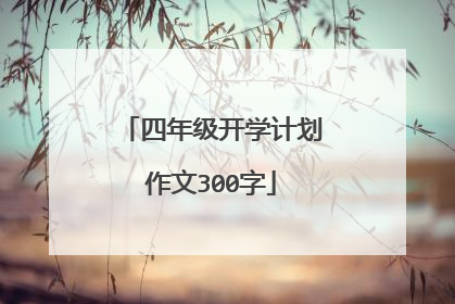 四年级开学计划作文300字