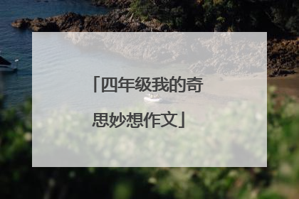 四年级我的奇思妙想作文