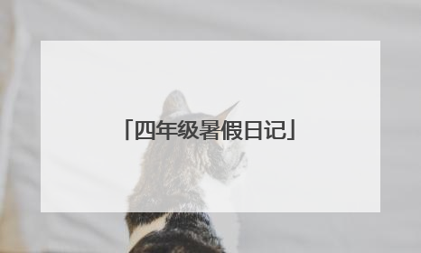 四年级暑假日记