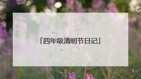 四年级清明节日记