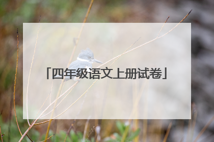 四年级语文上册试卷
