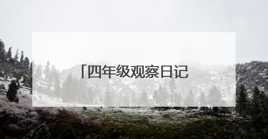 四年级观察日记400字以上