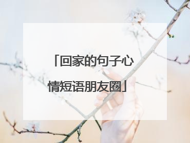回家的句子心情短语朋友圈