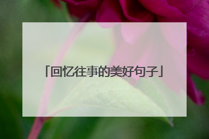 回忆往事的美好句子