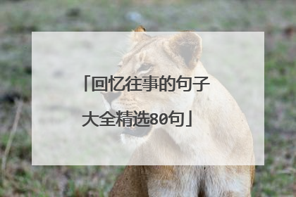 回忆往事的句子大全精选80句