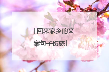 回来家乡的文案句子伤感