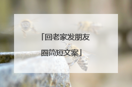回老家发朋友圈简短文案