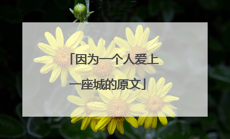 因为一个人爱上一座城的原文