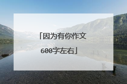 因为有你作文600字左右