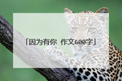 因为有你 作文600字