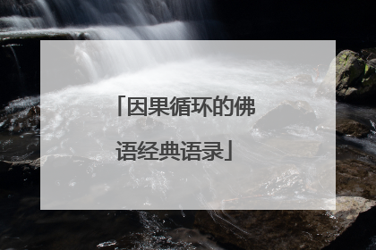 因果循环的佛语经典语录