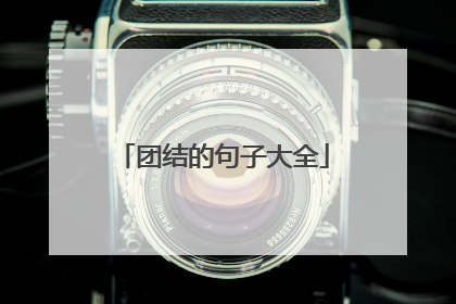 团结的句子大全