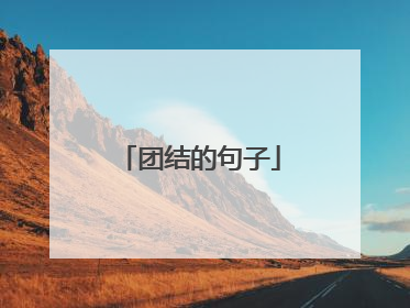 团结的句子