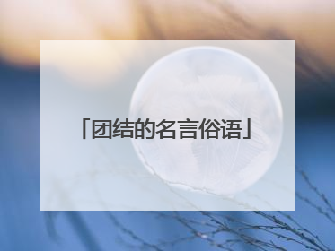 团结的名言俗语