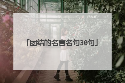 团结的名言名句30句