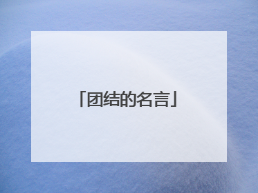 团结的名言