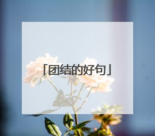 团结的好句