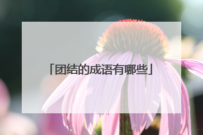 团结的成语有哪些