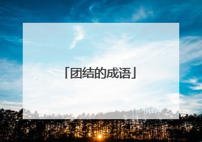 团结的成语
