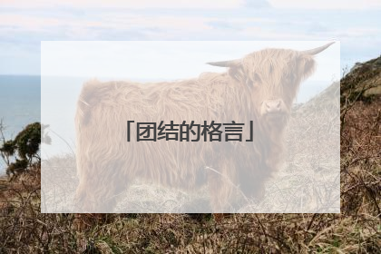 团结的格言