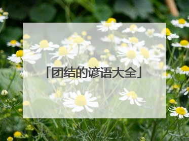 团结的谚语大全