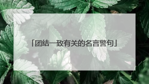 团结一致有关的名言警句