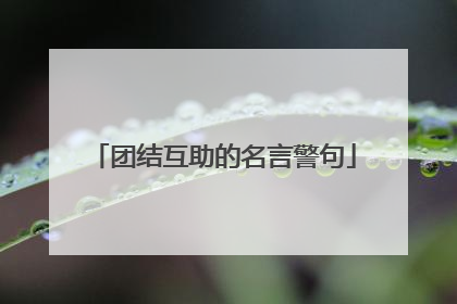 团结互助的名言警句