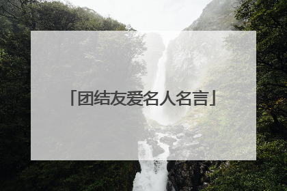 团结友爱名人名言