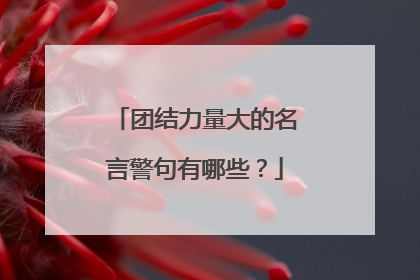 团结力量大的名言警句有哪些?