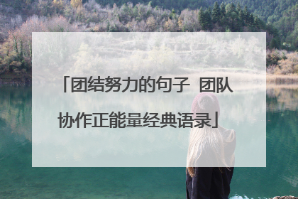 团结努力的句子 团队协作正能量经典语录