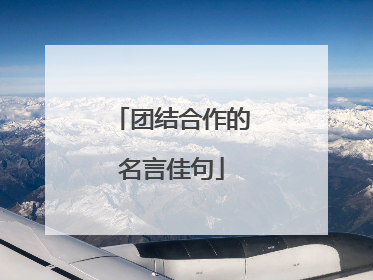 团结合作的名言佳句