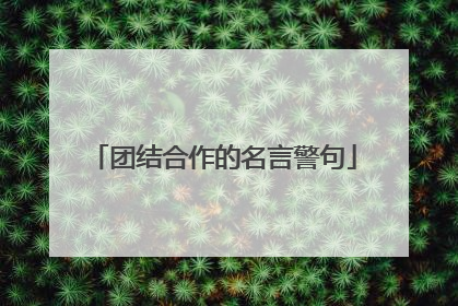 团结合作的名言警句