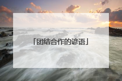 团结合作的谚语