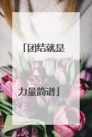 团结就是力量简谱