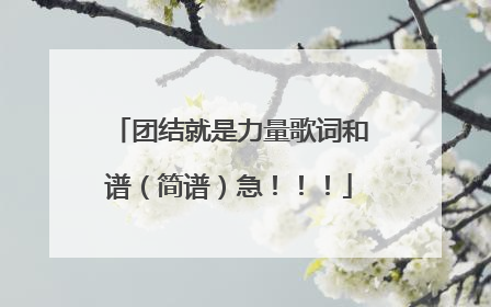 团结就是力量歌词和谱(简谱)急!!!
